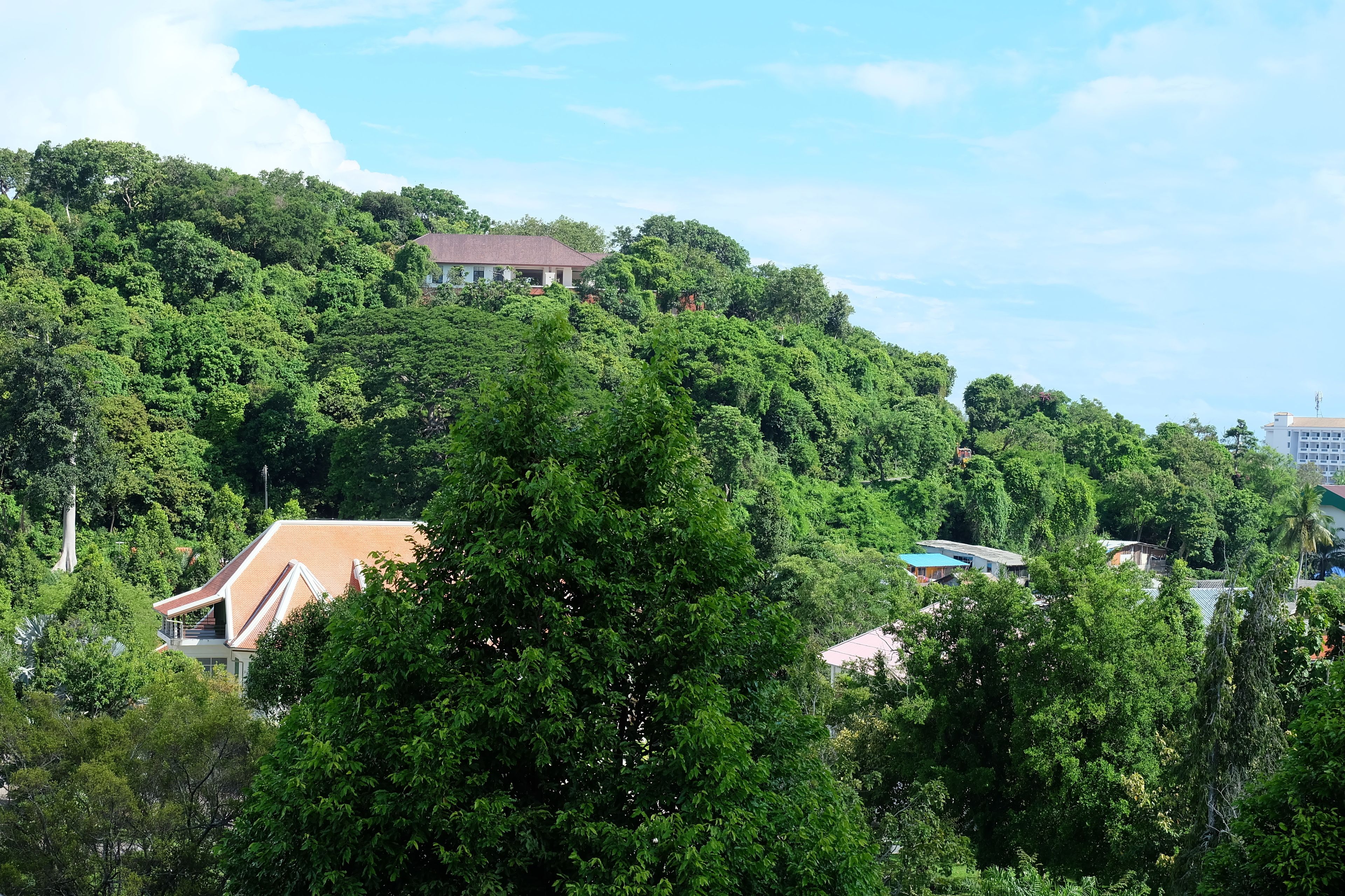 View from room