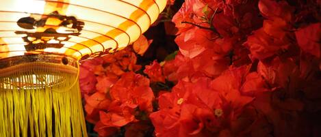 A close-up of a traditional lantern with a yellow tassel, surrounded by vibrant red flowers.