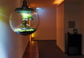 A hallway with a spherical hanging light fixture containing a miniature landscape.