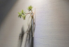 A small pine branch with needles and a few cones, possibly a decorative item, against a textured wall.