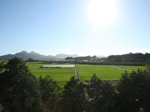 Vistas desde la habitación