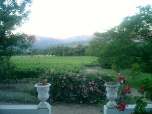 Pemandangan dari bilik