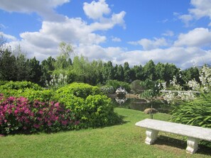 Property grounds - Bellingham Homestead (Franschhoek)