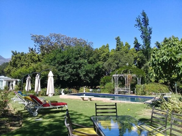 Outdoor pool - Bellingham Homestead (Franschhoek)