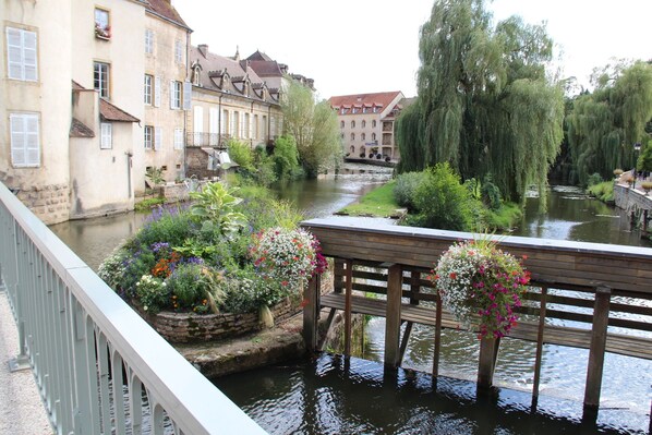 Vista desde la propiedad