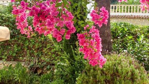 Un jardín con flores rosadas, un muro de piedra y un patio con baldosas.