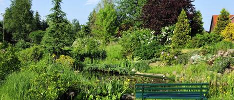 A lush garden with a pond, a green bench, and various trees and plants.