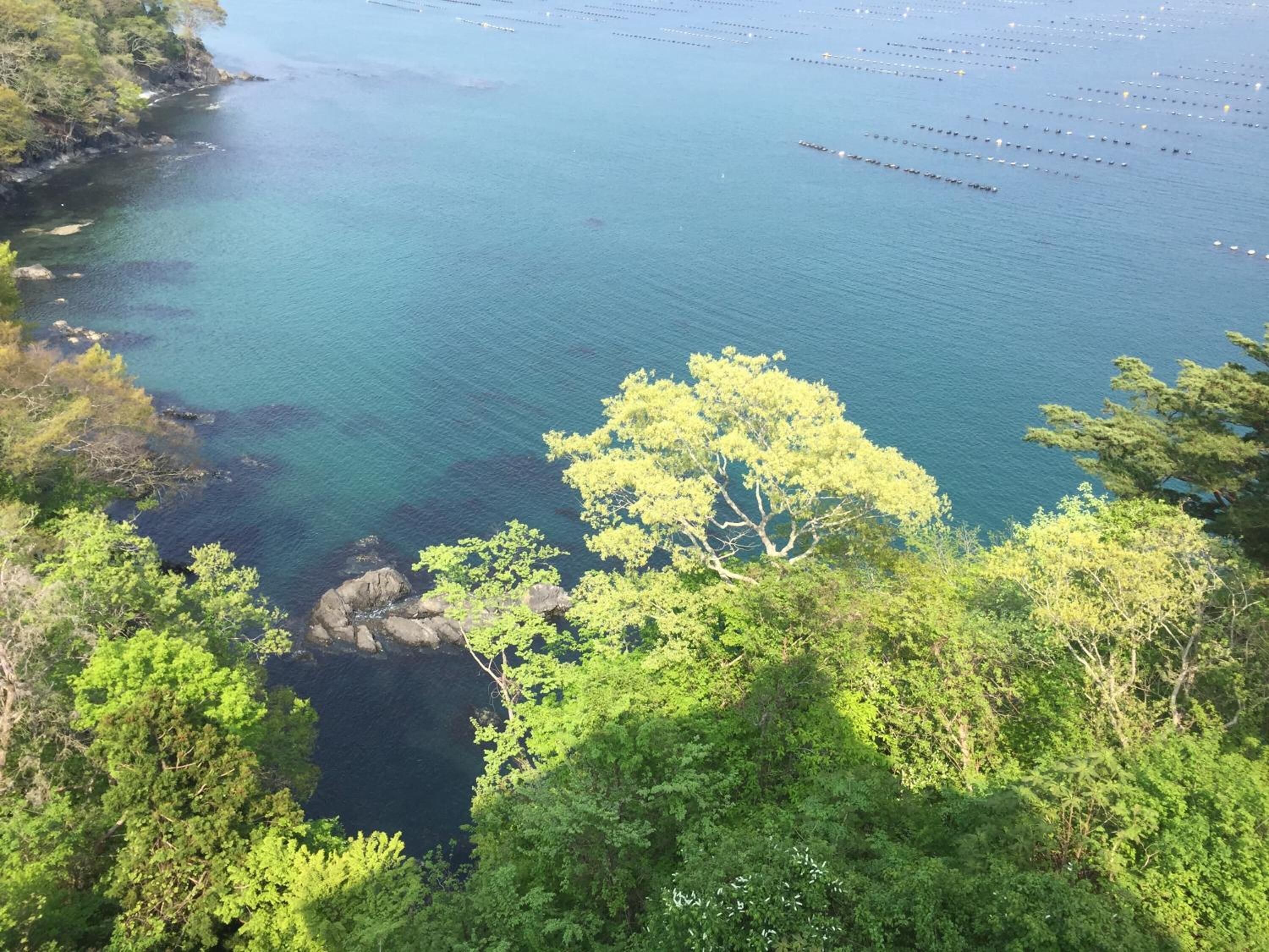 A coastal landscape with dense greenery and clear blue waters.