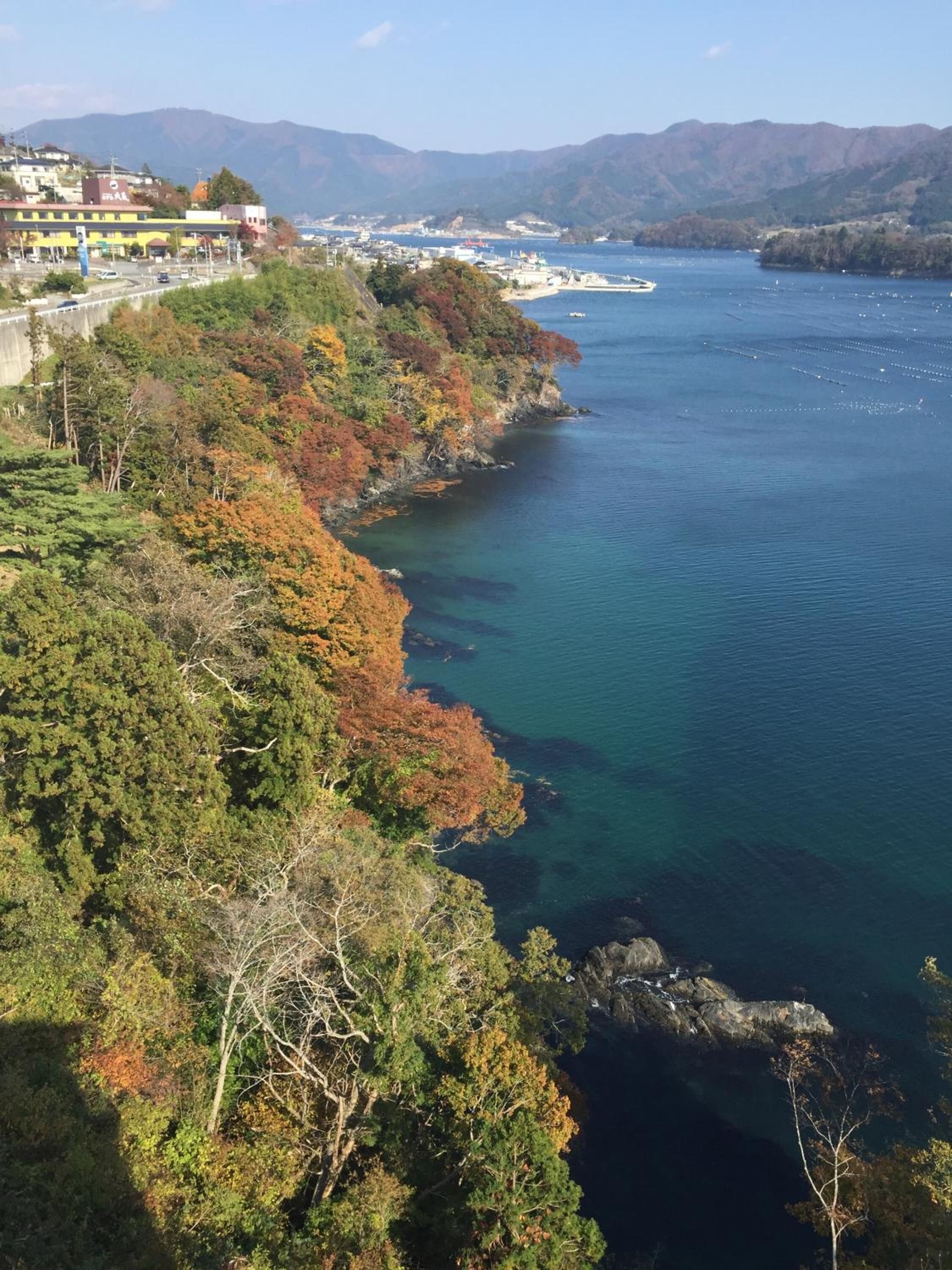 A coastal landscape with a clear view of a body of water, a road with vehicles, and buildings in the background.