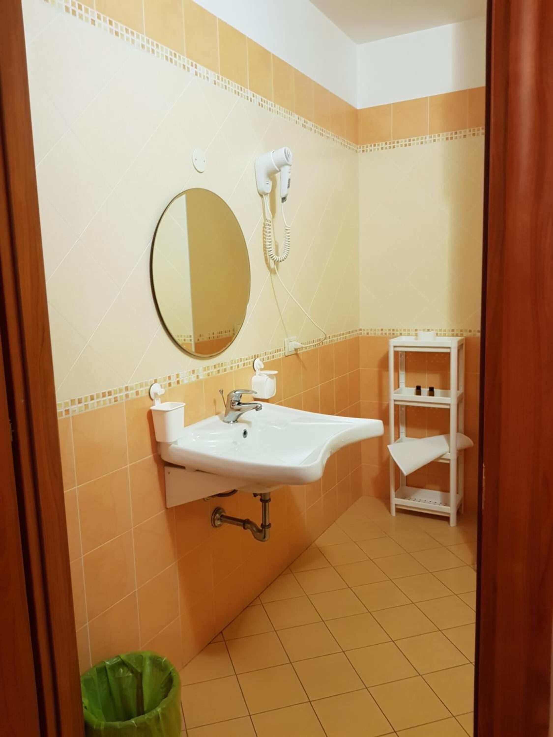 A bathroom with a sink, mirror, and hairdryer.