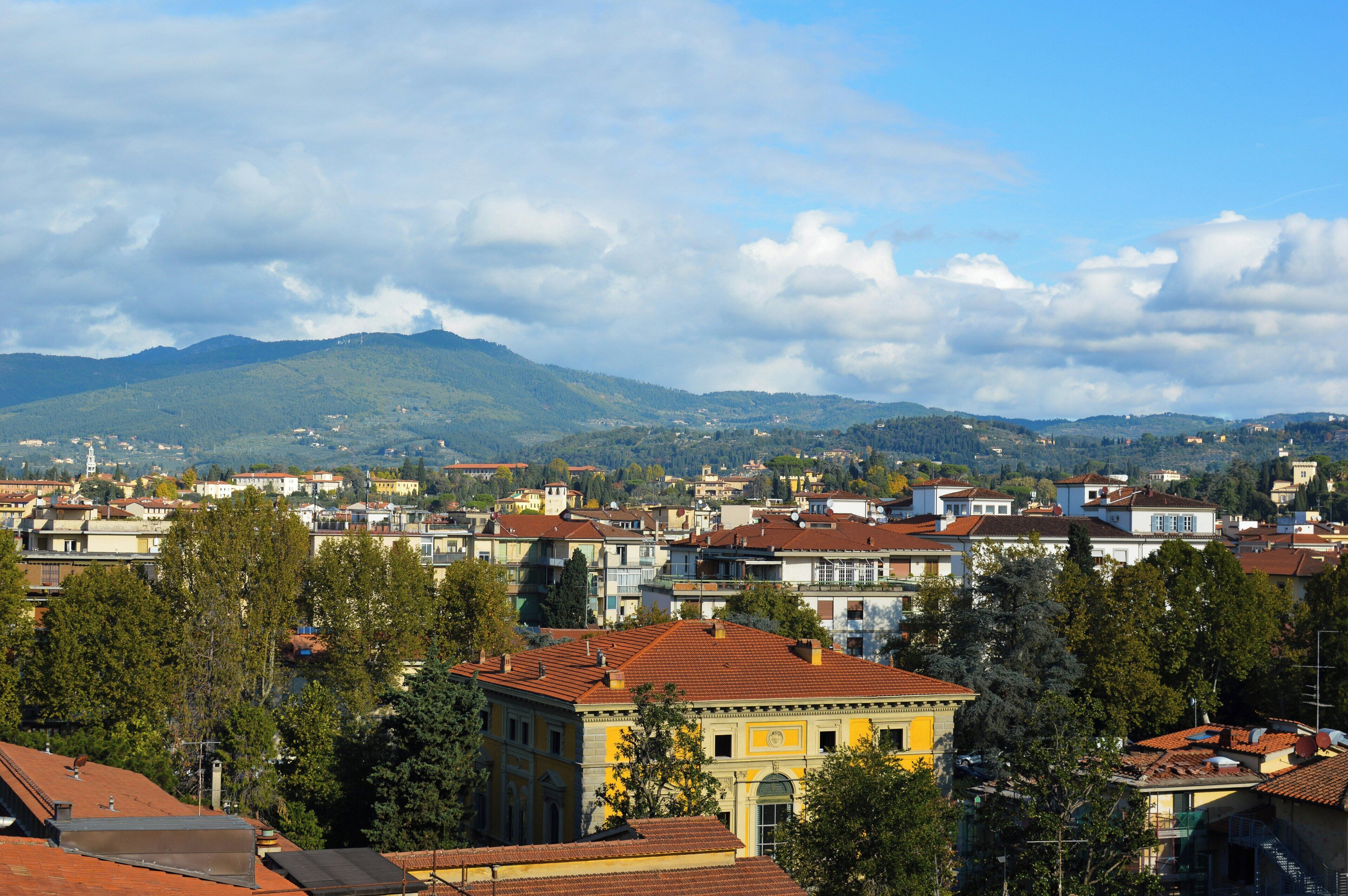 Une ville avec des bâtiments, des arbres et une montagne en arrière-plan.