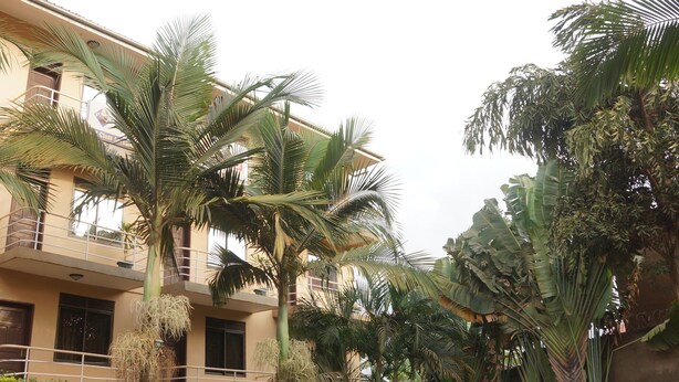 A courtyard with outdoor seating, palm trees, and a building with multiple balconies. - Florida Hotel (Kampala)