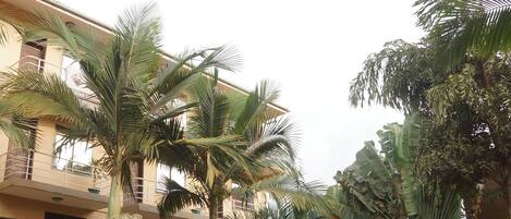 Spécialités Cuisine locale et internationale