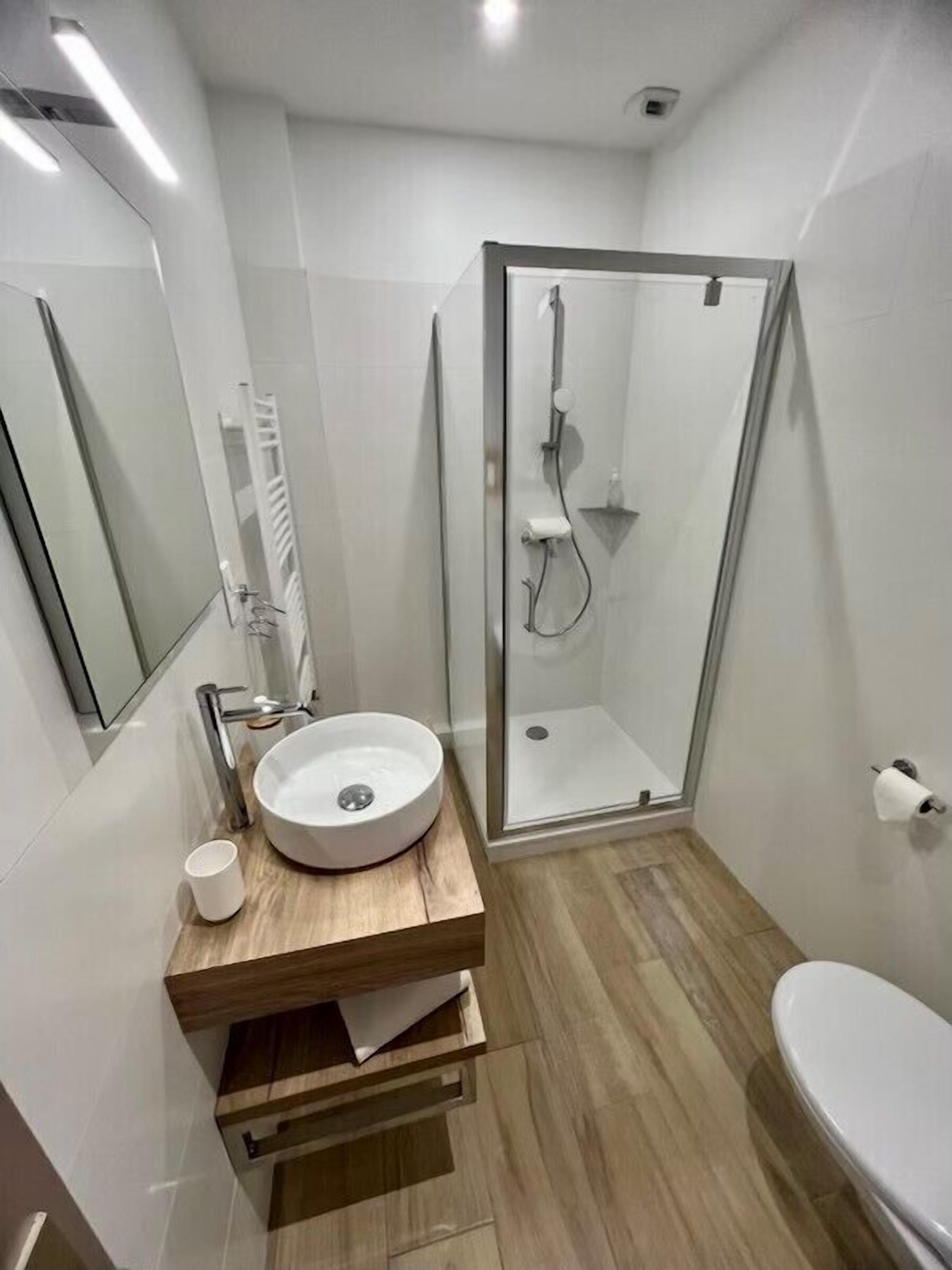 deluxe double room, 1 king bed, non smoking | bathroom | shower, free toiletries, hair dryer, towels