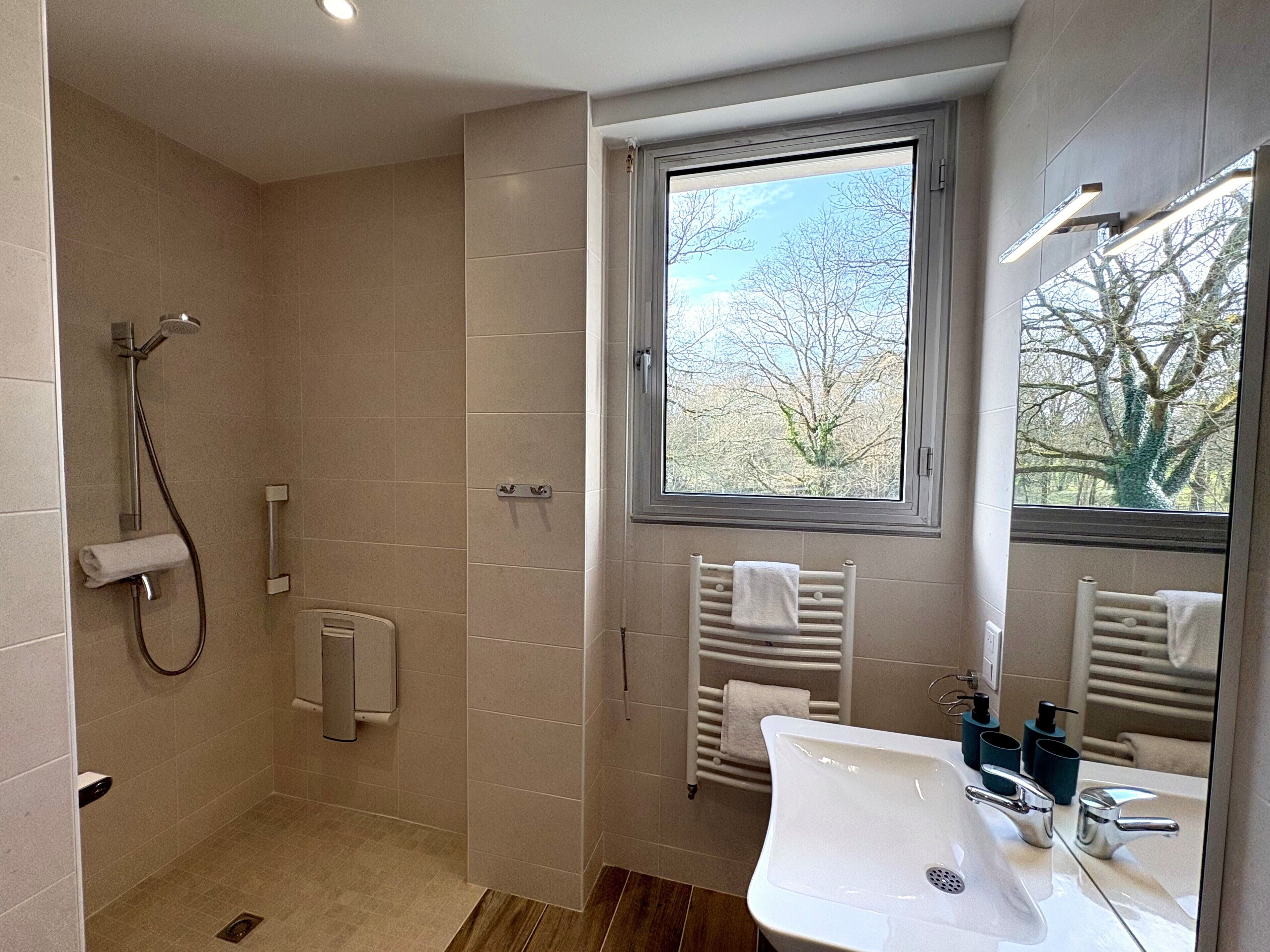 A modern bathroom with a walk-in shower, a large window with a view of trees, and a white sink with a mirror.