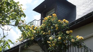 A building with a balcony covered in yellow flowers.