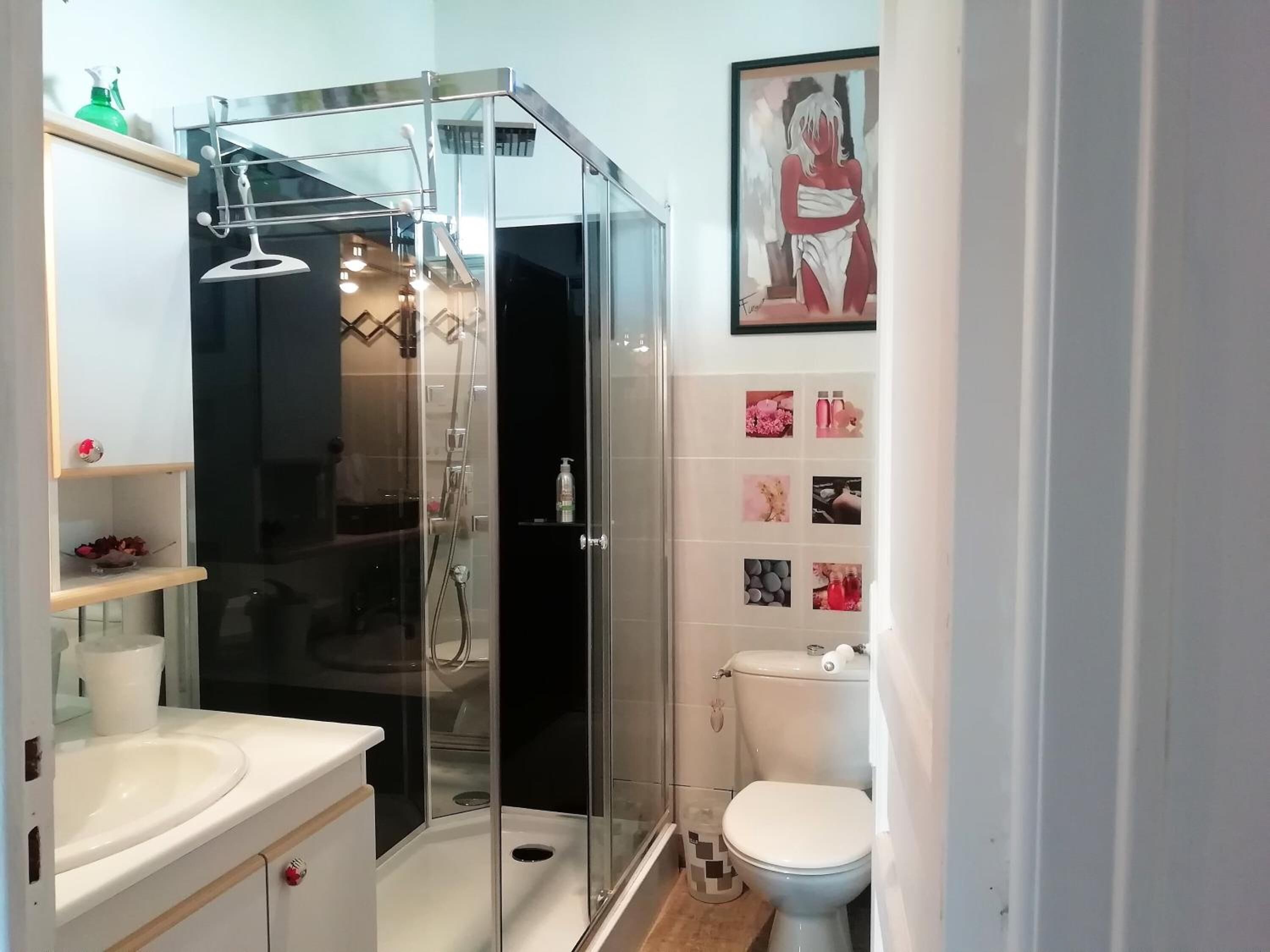 Een douche, een hydromassagedouche, een haardroger, handdoeken