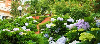 Kodai Resort Hotel