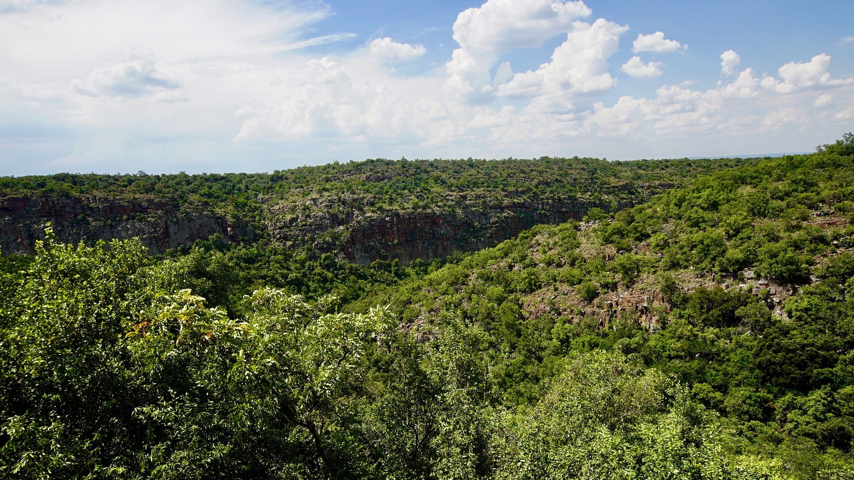 Üppige, grüne Landschaft mit dichter Vegetation und steilen Klippen.