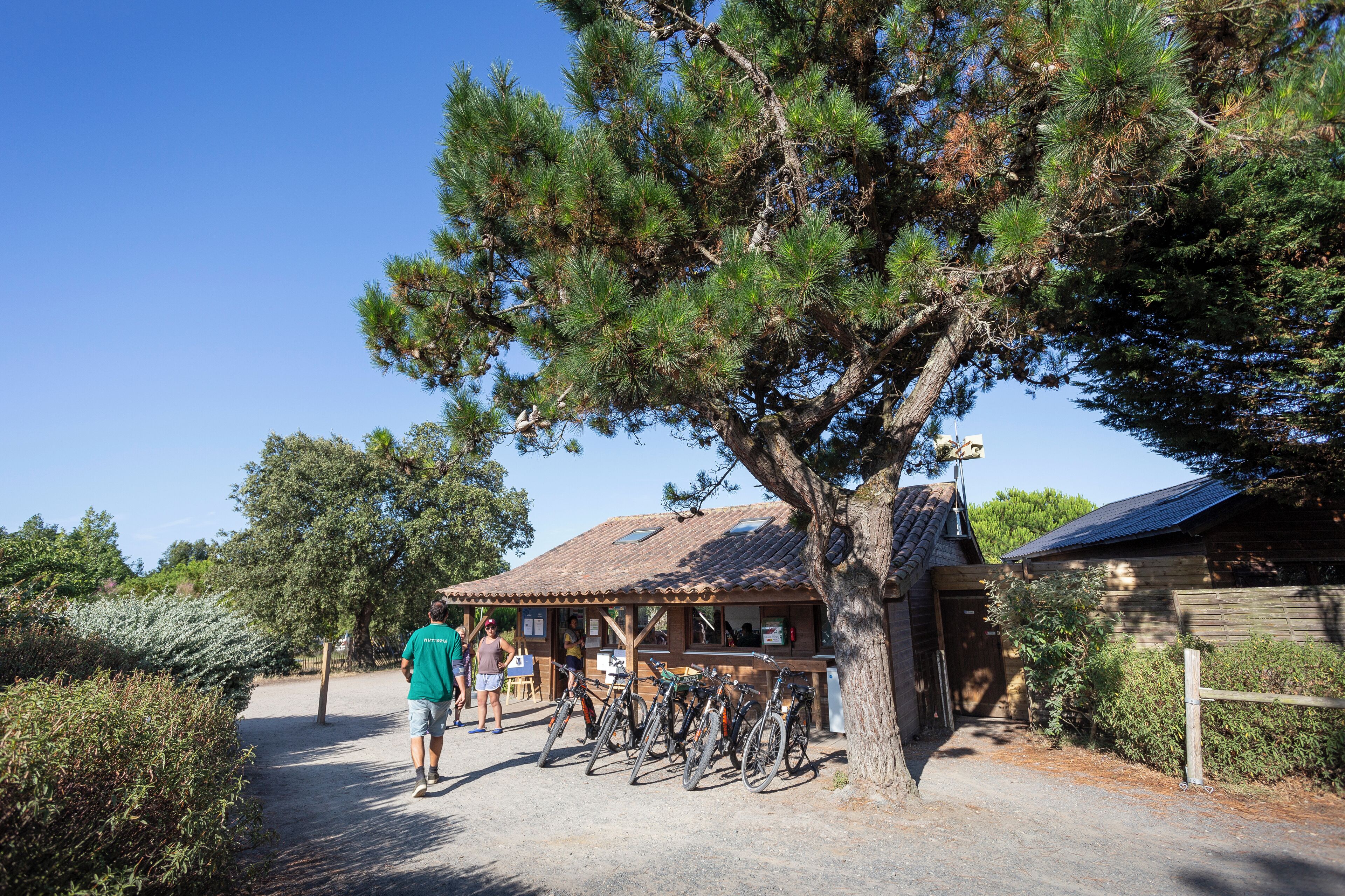 A rustic wooden building with a tiled roof, bicycles parked in front, and a large tree nearby.