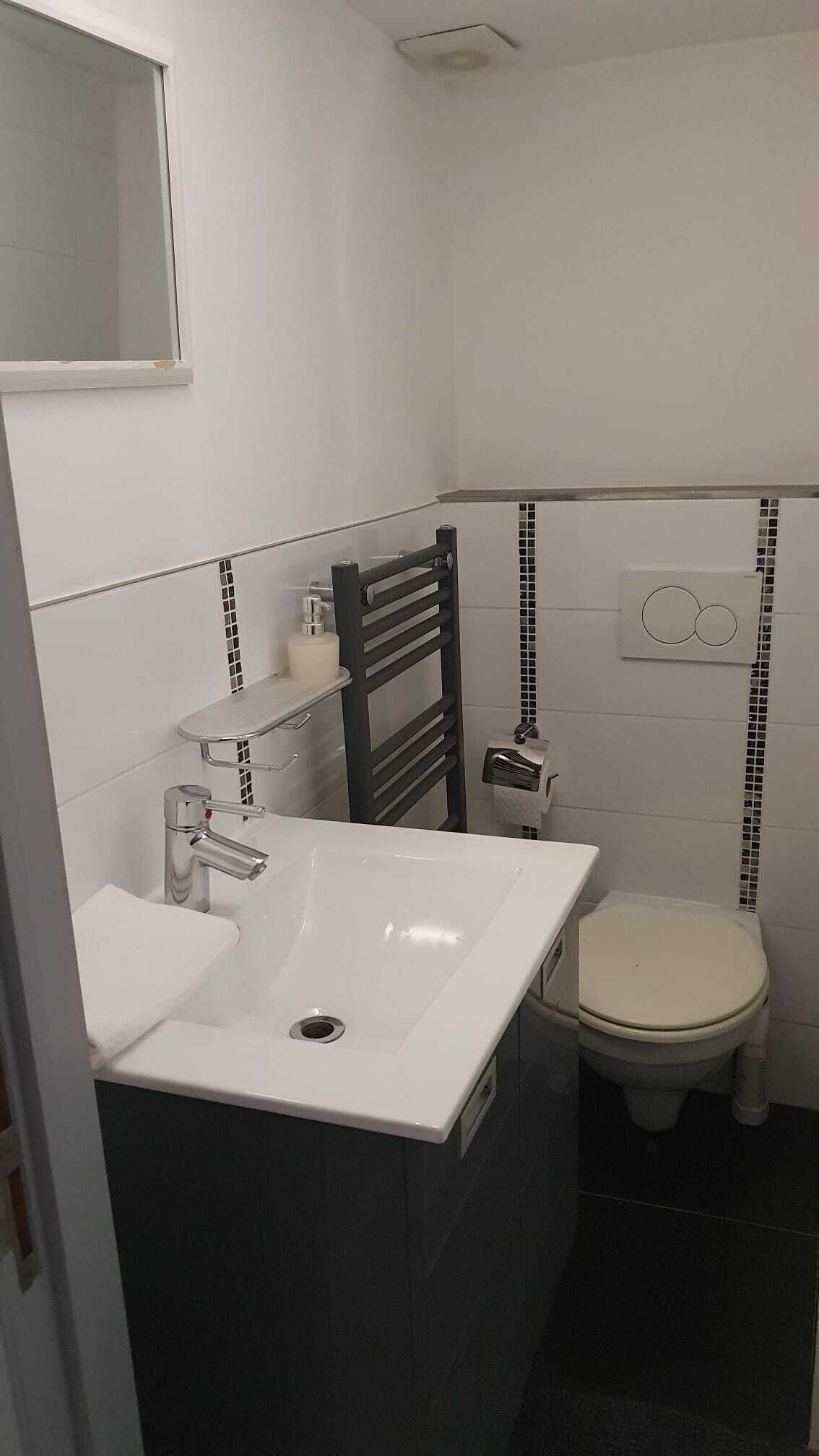 A small bathroom with a white sink, a toilet, and a towel rack.