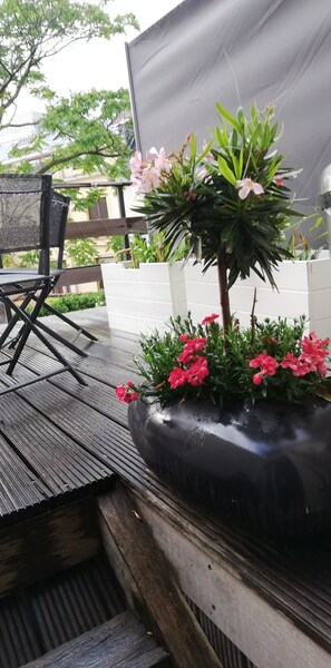Appartement (Terrasse) | Terrasse/Patio