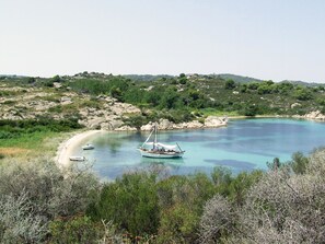 Vista des de l'allotjament