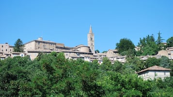 A historic town with a prominent tower and dense greenery in the foreground.