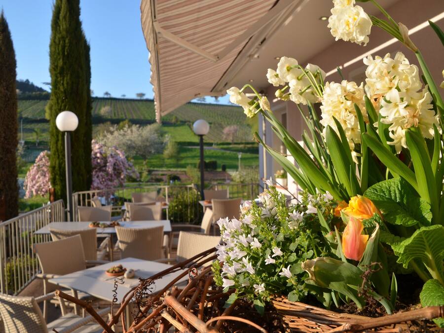 Un espace extérieur aménagé avec des tables et des chaises, entouré de verdure et de fleurs.