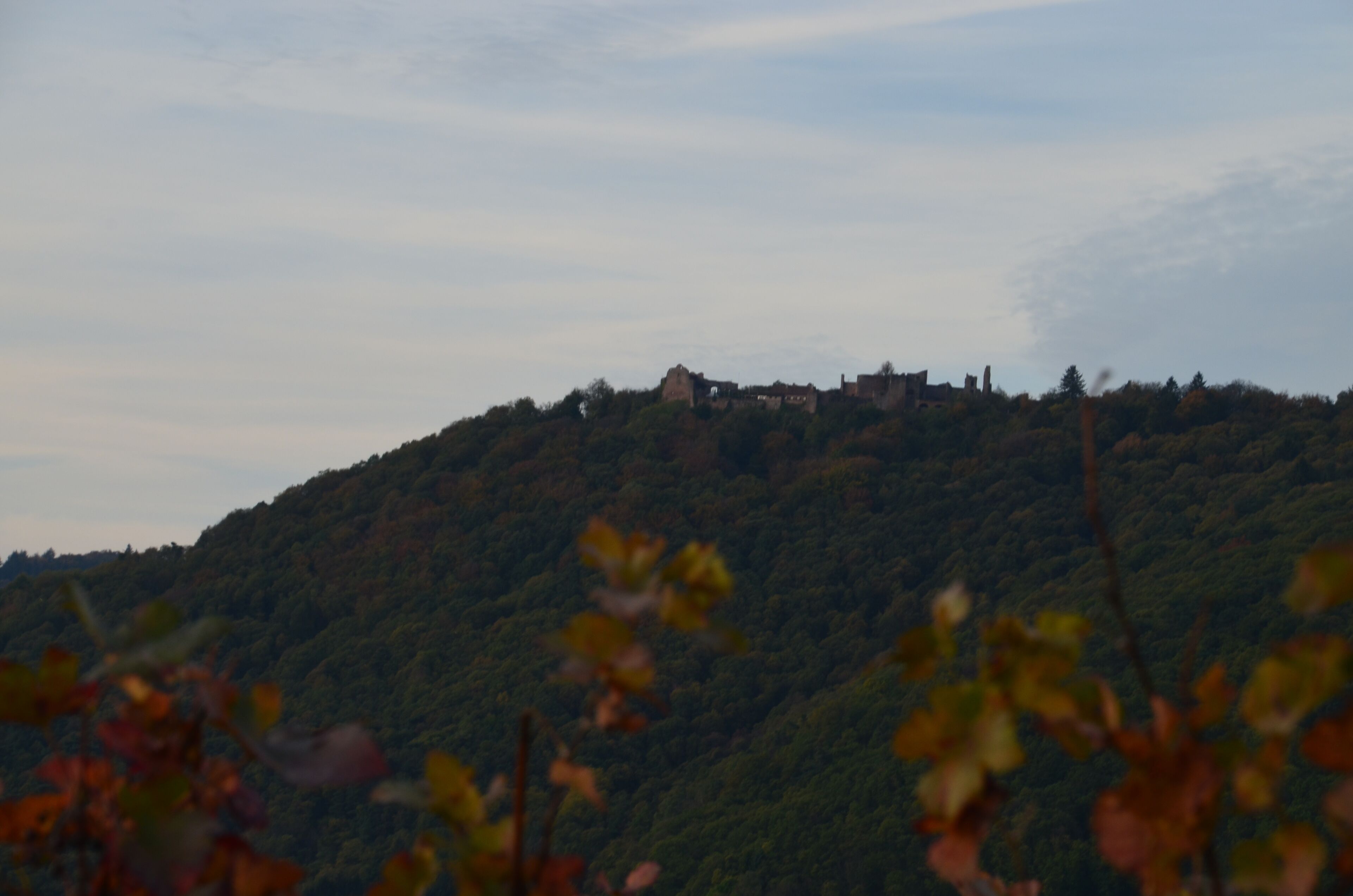 A hilltop with ruins and dense forest.