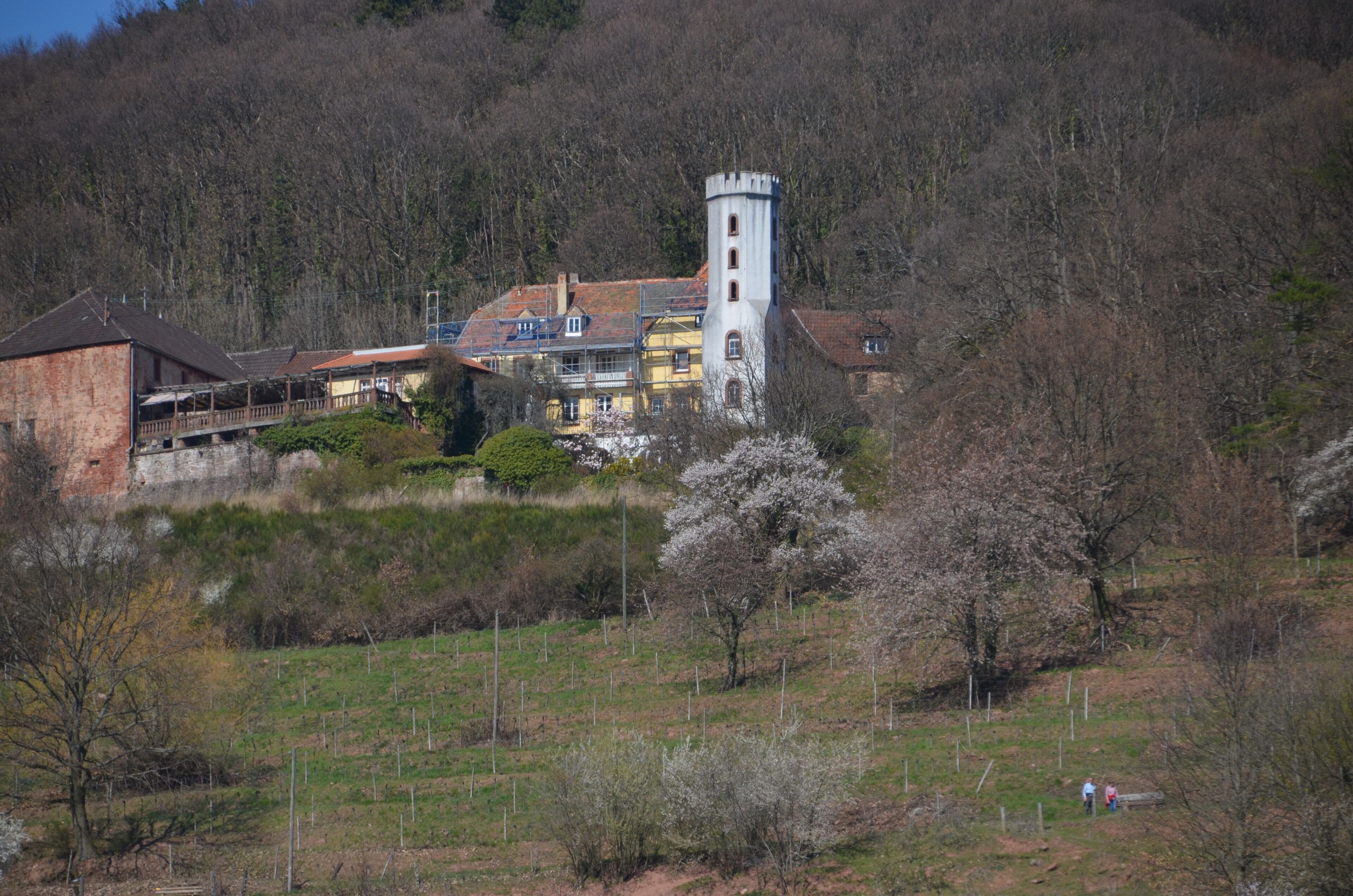 Un edificio histórico con una torre, rodeado por un paisaje boscoso.