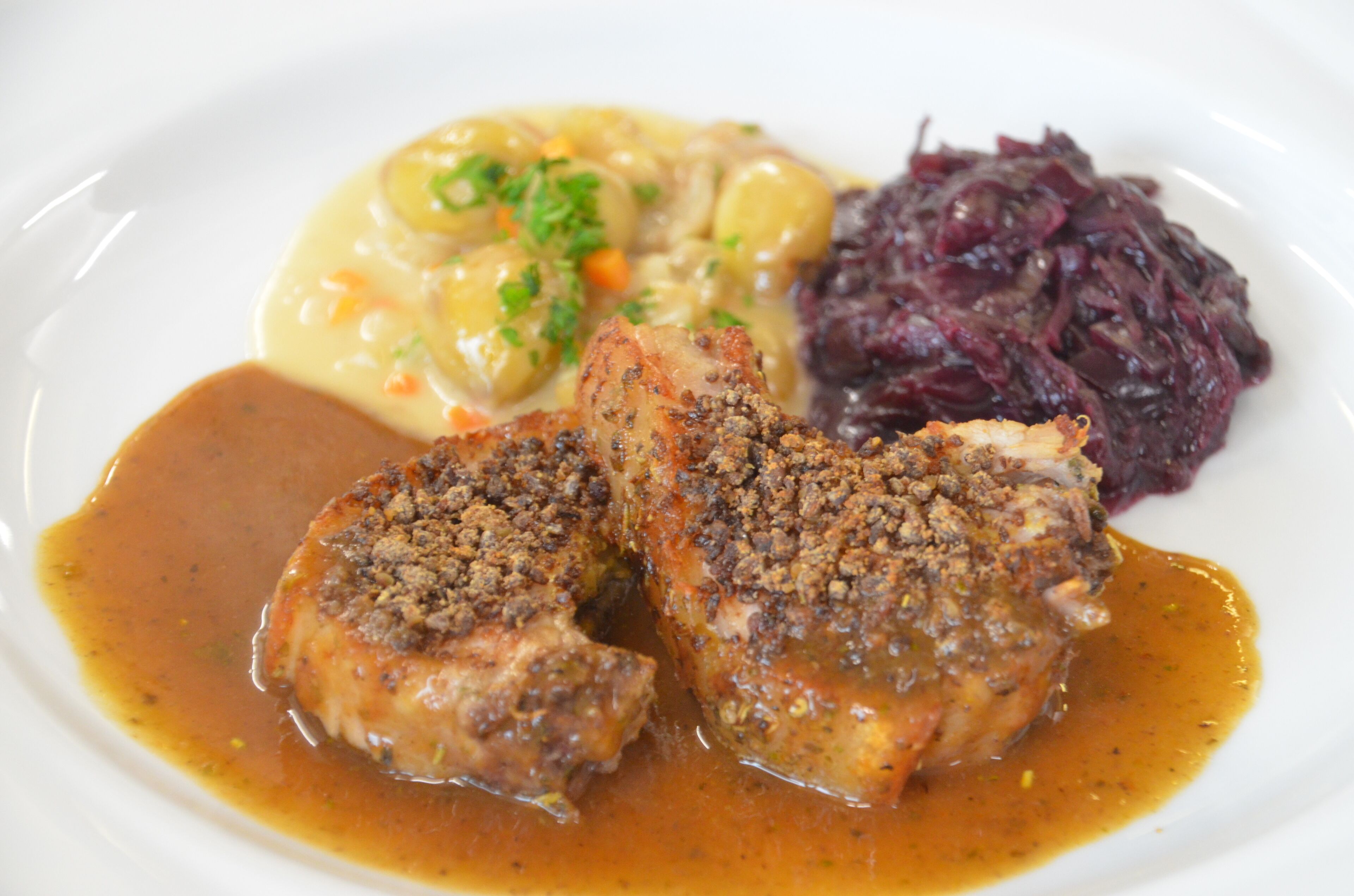 A plate with two pieces of meat topped with a crumbly topping, a side of creamy sauce with vegetables, and a serving of red cabbage.