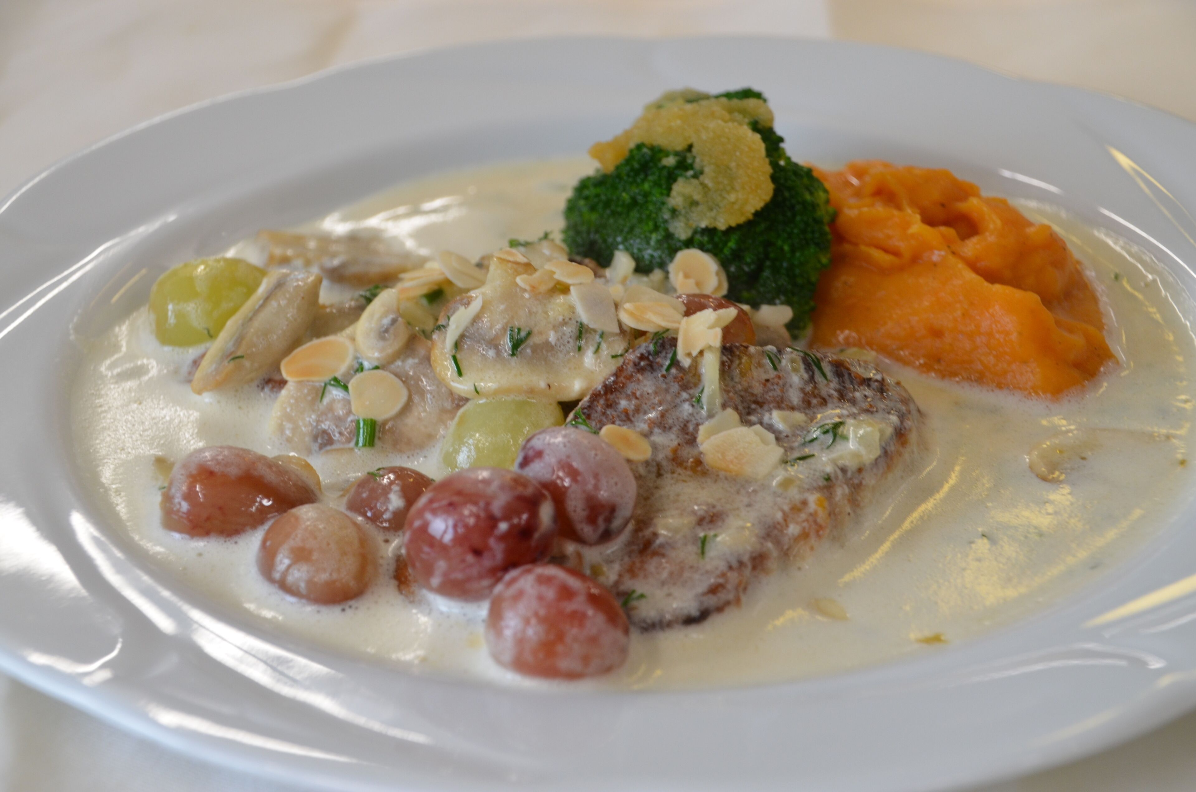 En tallerken mad med cremet sauce, broccoli og en portion kartoffelmos.