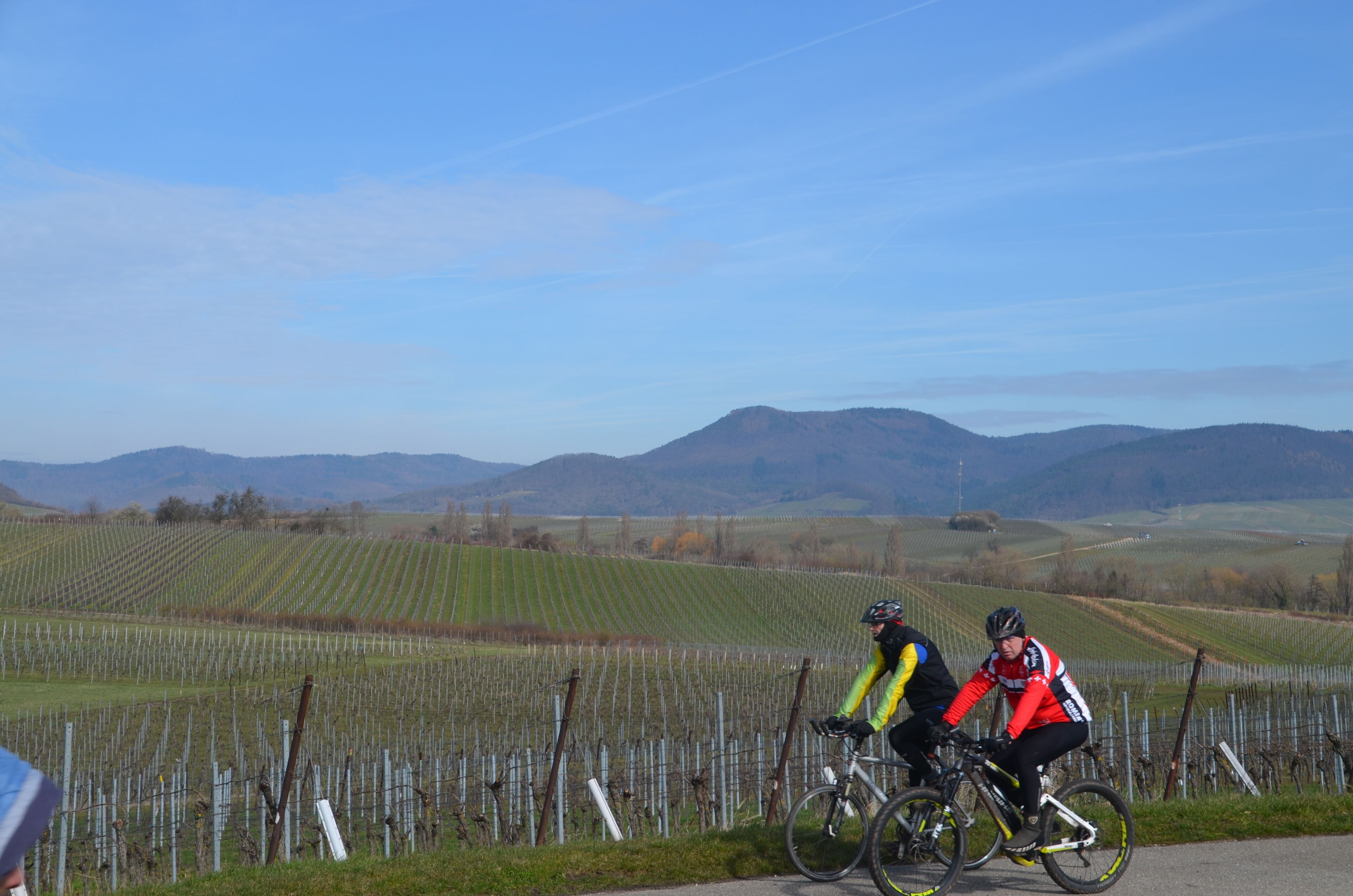 Zwei Radfahrer auf einer Straße, im Hintergrund Weinberge und Hügel.