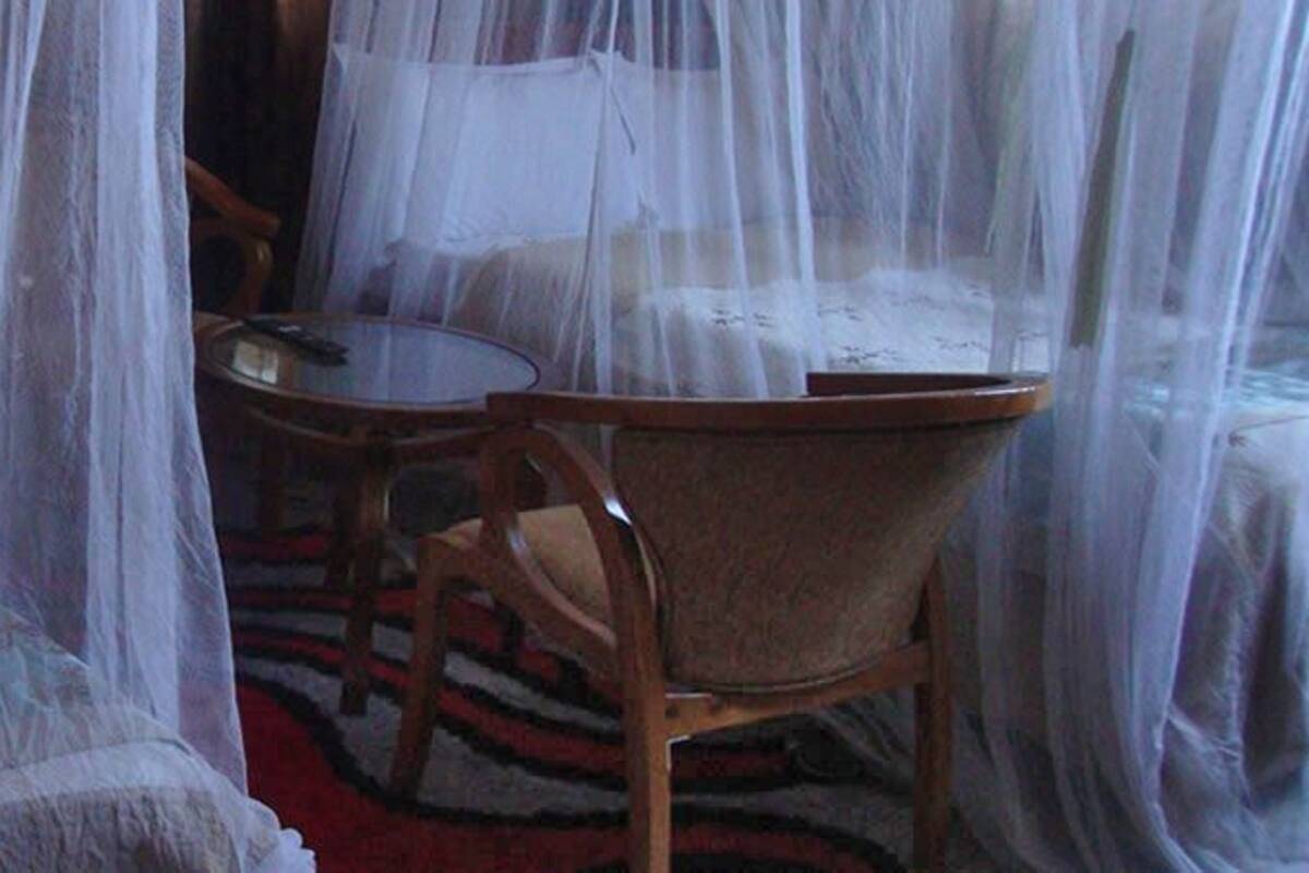 A room with a bed covered by a mosquito net, a wooden chair, and a small round table.