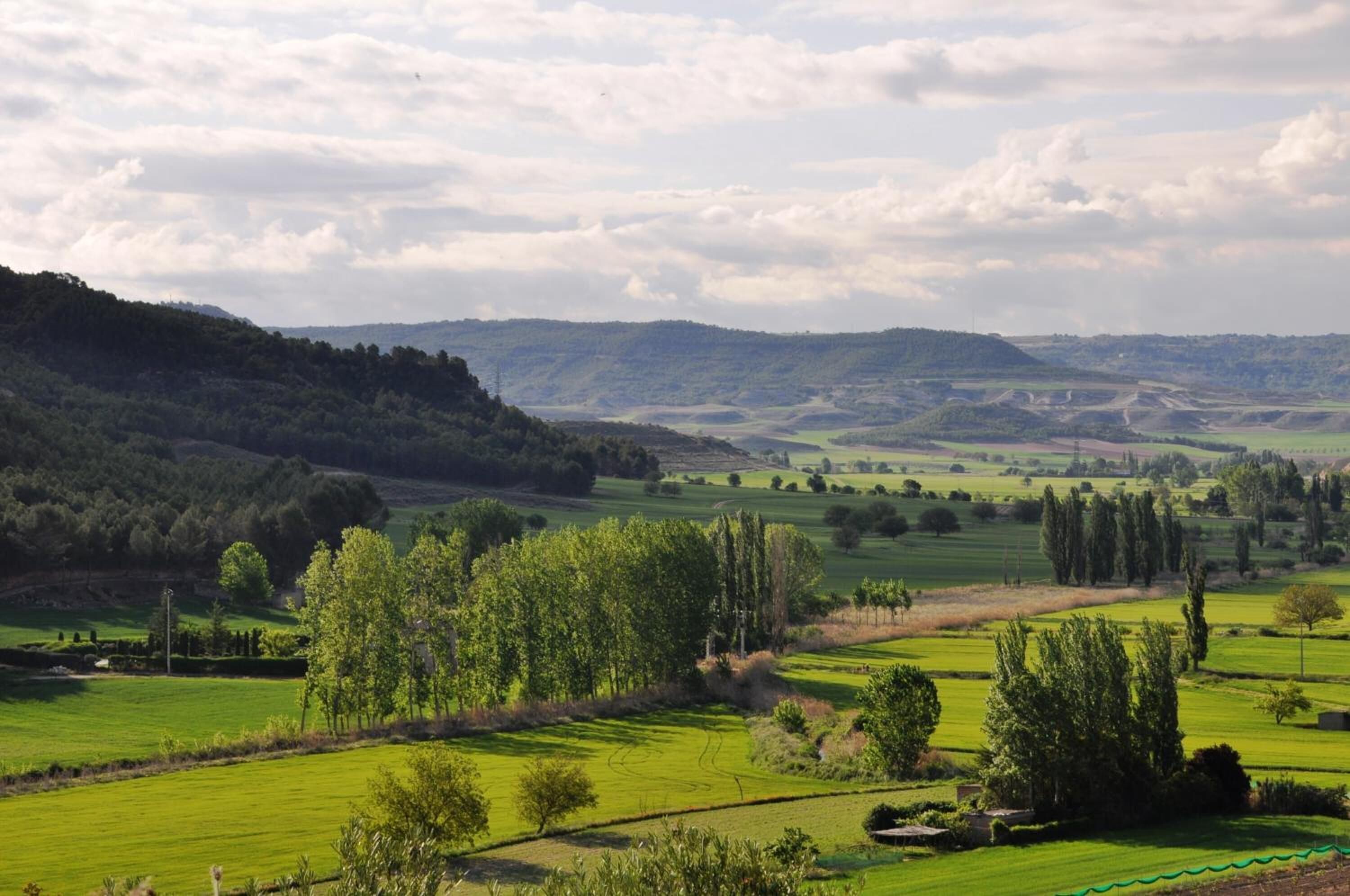 Foto - La Fuensanta Hostal-Rural