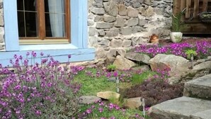 A stone building with a blue window and a stone staircase leading up to a door. - Chambres Et Tables D'Hote De Margaridou (Blesle)