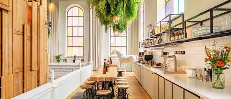 Una cocina amplia con armarios de madera, una encimera larga y plantas colgantes.
