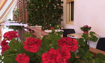 Uma varanda com corrimão, uma mesa e cadeiras. Há plantas e flores em vasos sobre a mesa.