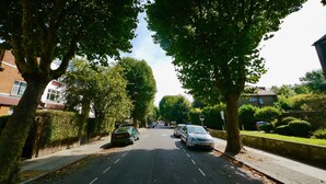 A tree-lined residential street with parked cars and houses on both sides.