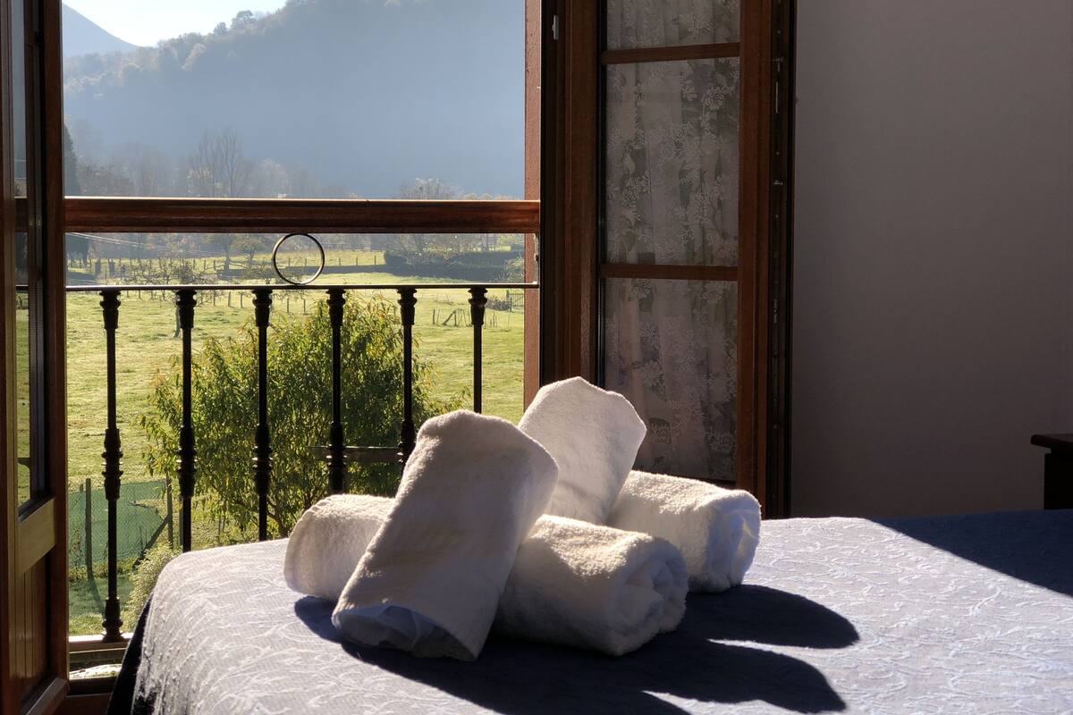 A room with a bed, a window with a view of a grassy field and mountains.