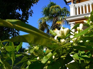 Property grounds - B&B Aquilone (Urbino)