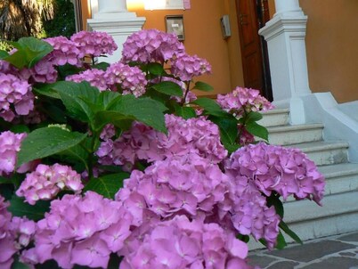 B&B Aquilone