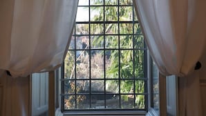 Una ventana con un diseño de cuadrícula, enmarcada por cortinas blancas, y vista de vegetación al exterior.