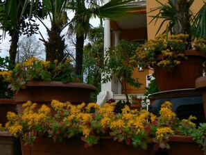 Property grounds - B&B Aquilone (Urbino)