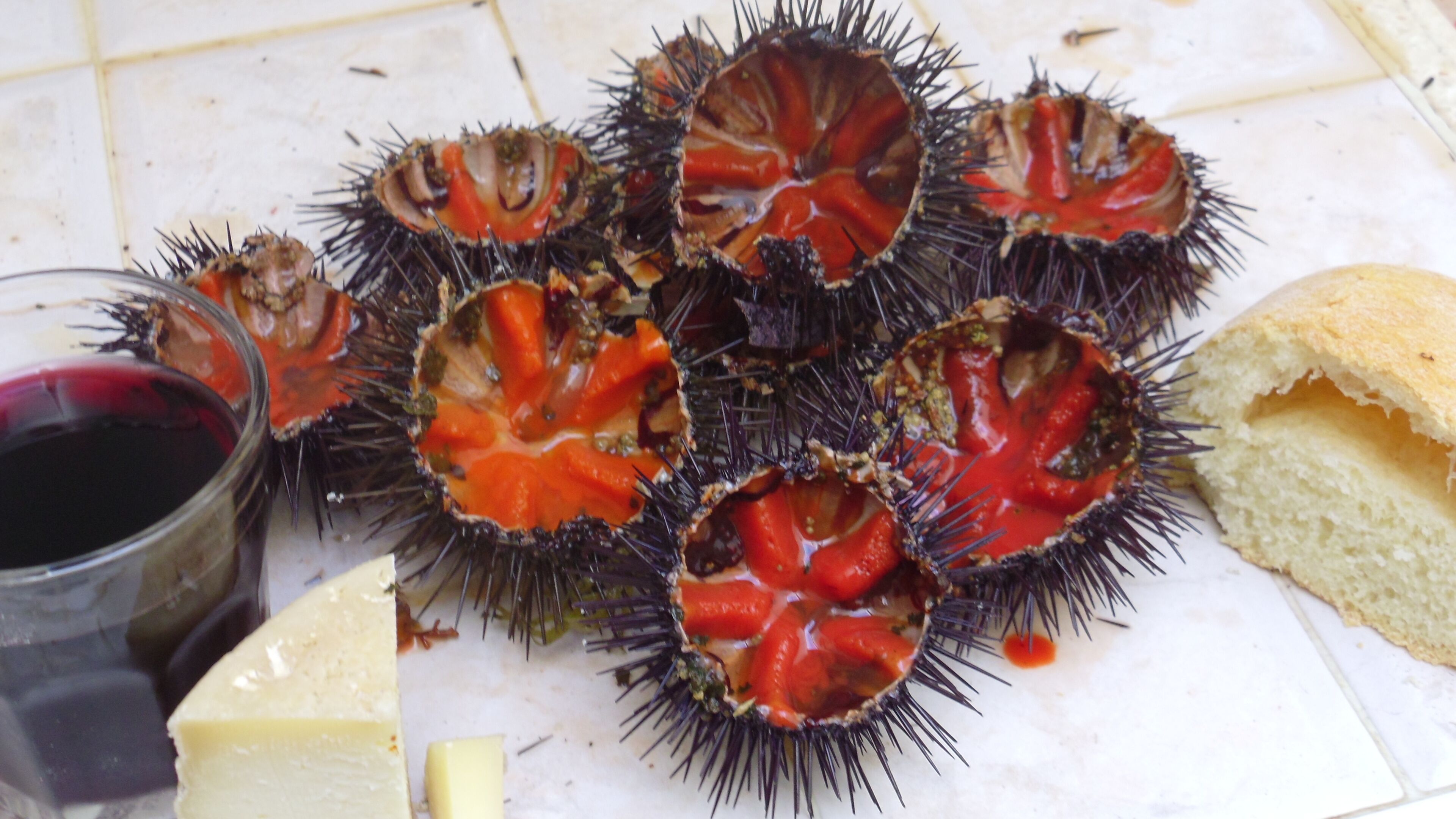 A plate of sea urchin with a glass of red wine and a piece of bread.