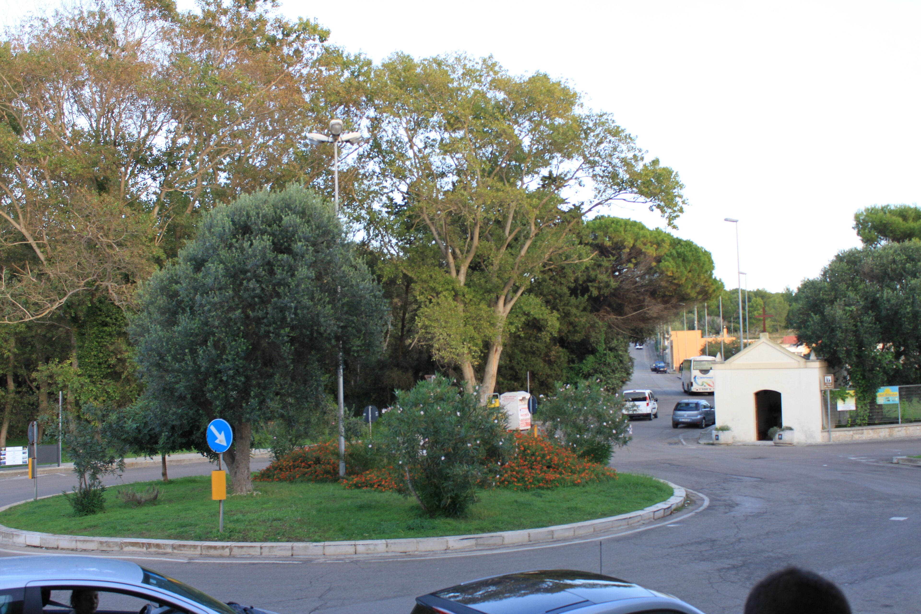 A roundabout with a blue directional sign, surrounded by trees and a small garden with red flowers.
