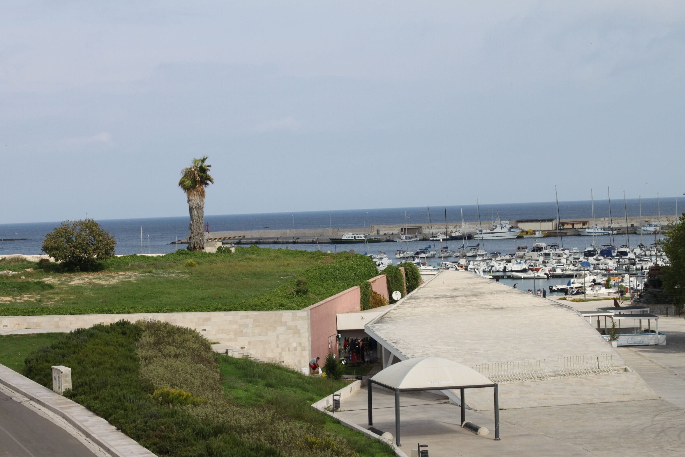 A marina with boats docked, a palm tree, and a covered walkway.