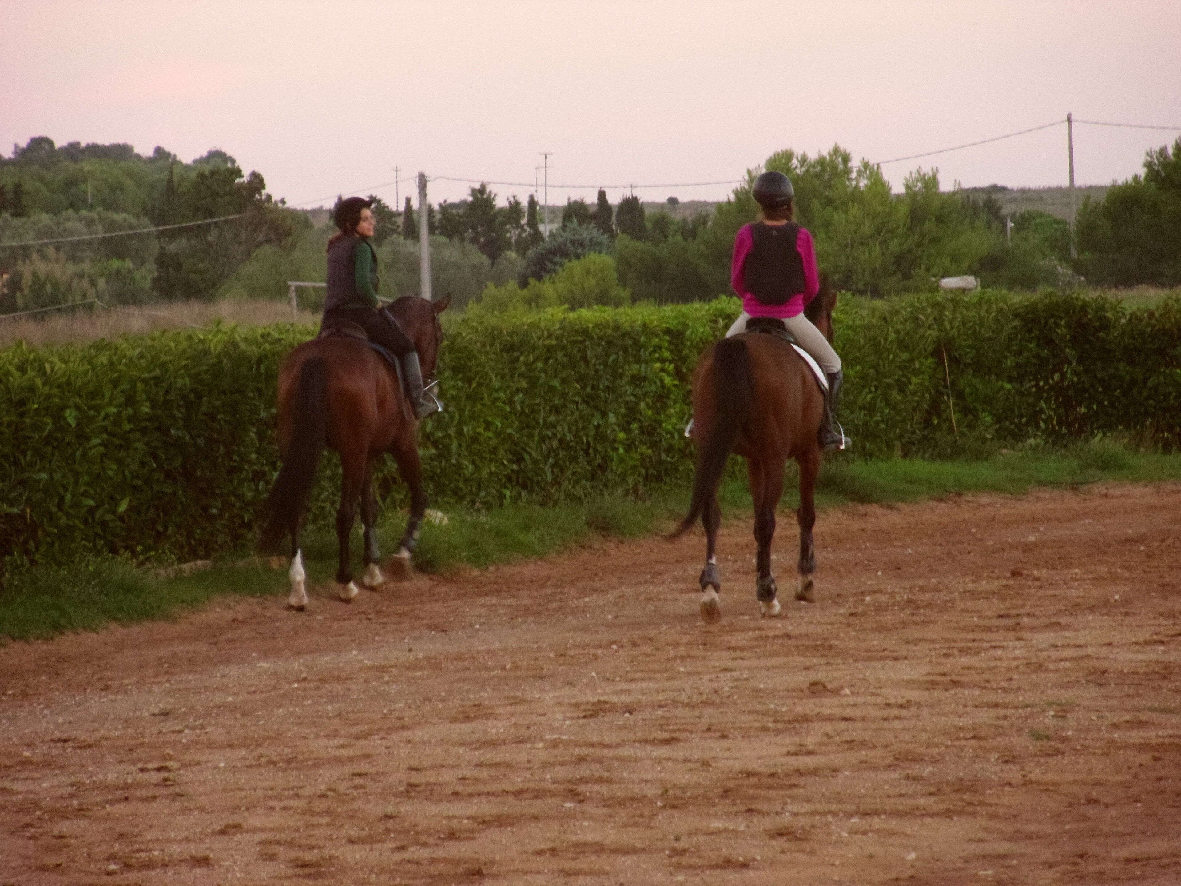 Two people riding horses on a dirt path with greenery and a fence in the background.