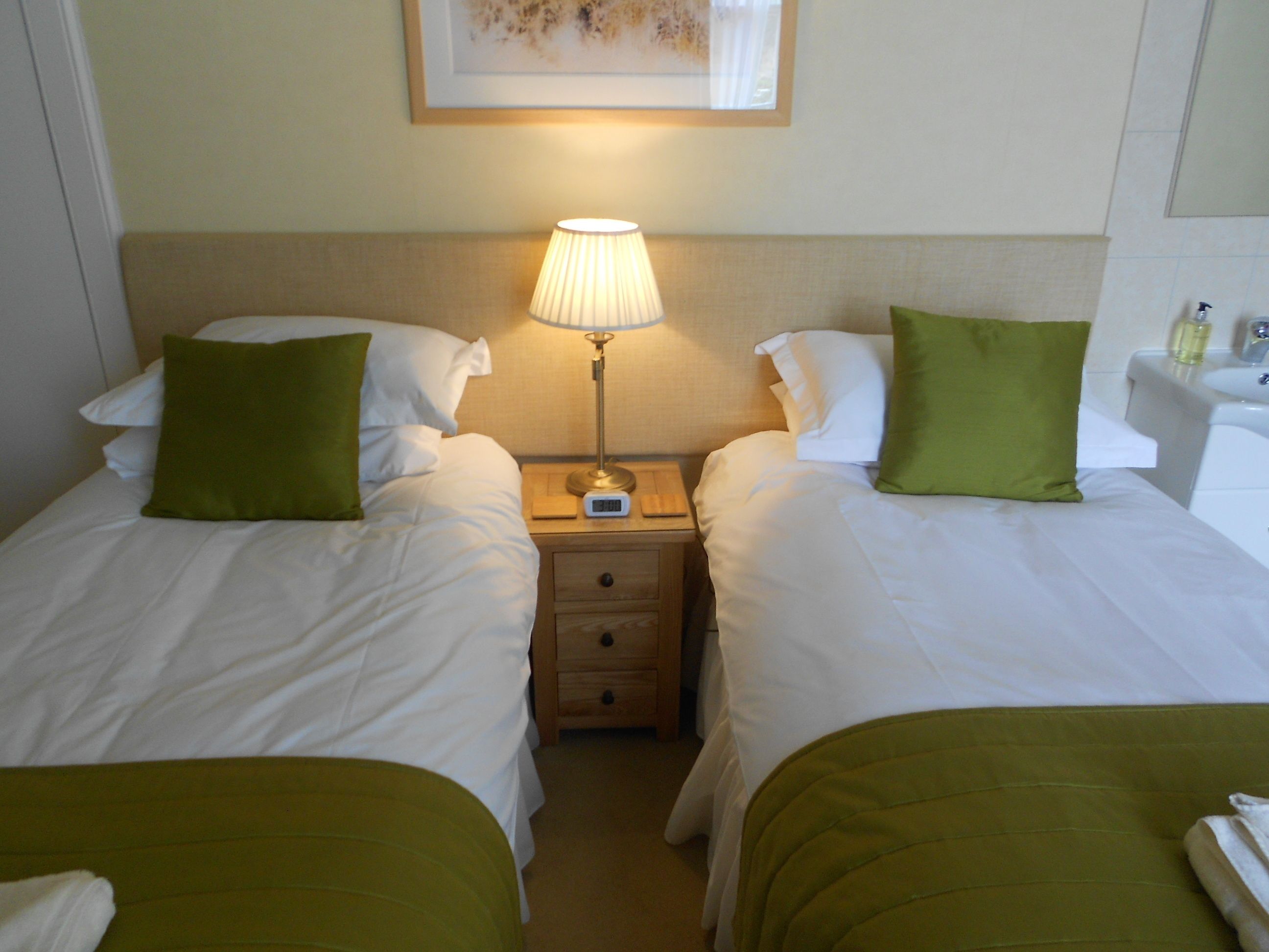 Twin Room (3) | Seterika/papan seterika, Wi-fi percuma, cadar katil 